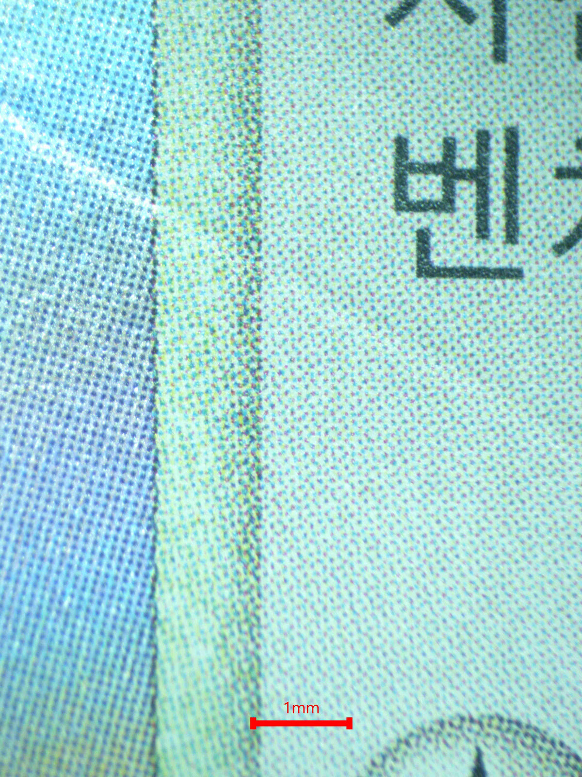 12307 DITTO (KOR)