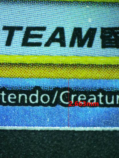 12310 PIKACHU & ZEKROM GX (CHN)