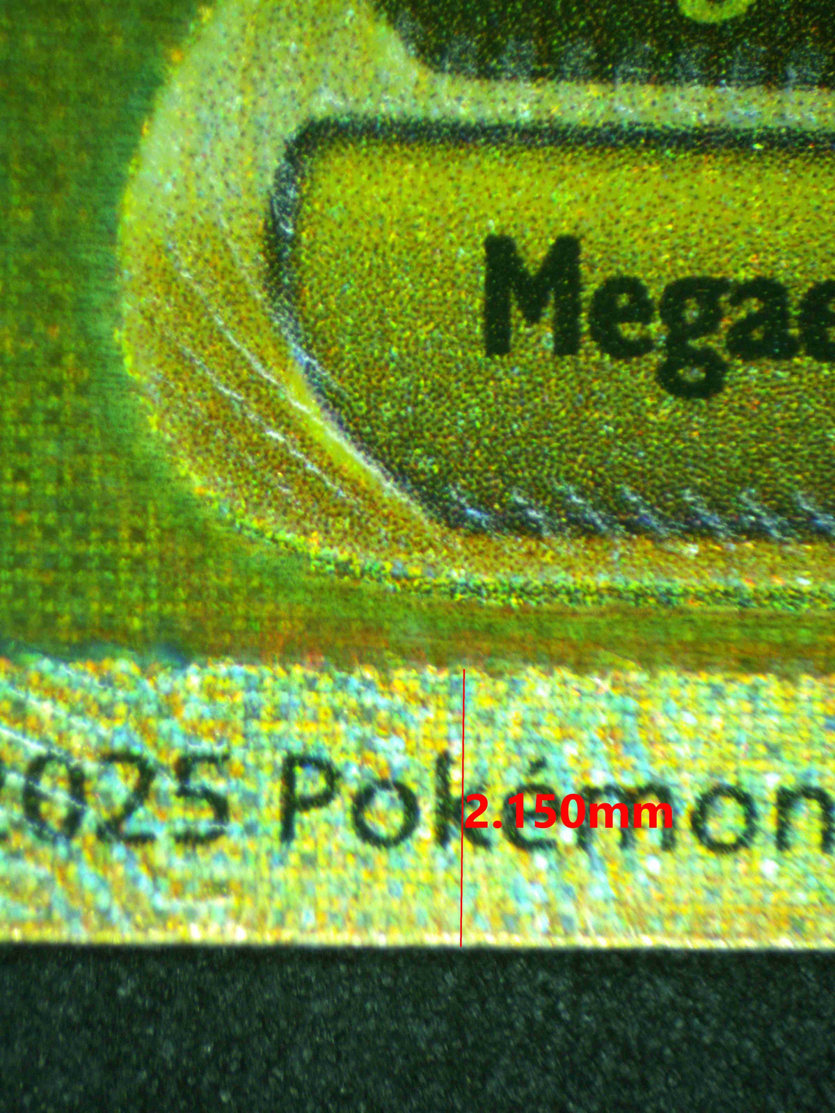 12334 MEGA CHARIZARD X Ҽx (LAT)