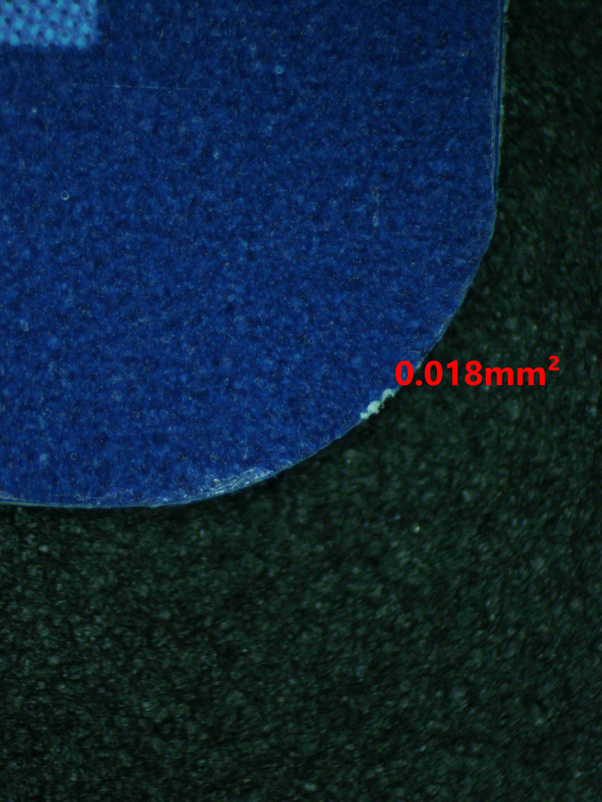 12395 KINGDRA Ҽx