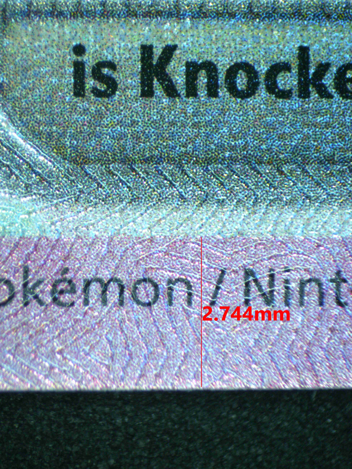 12406 EEVEE Ҽx