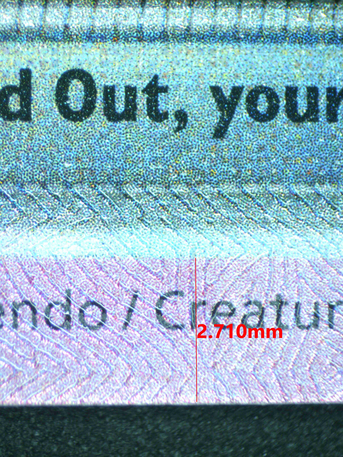 12411 EEVEE Ҽx