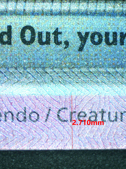 12411 EEVEE Ҽx