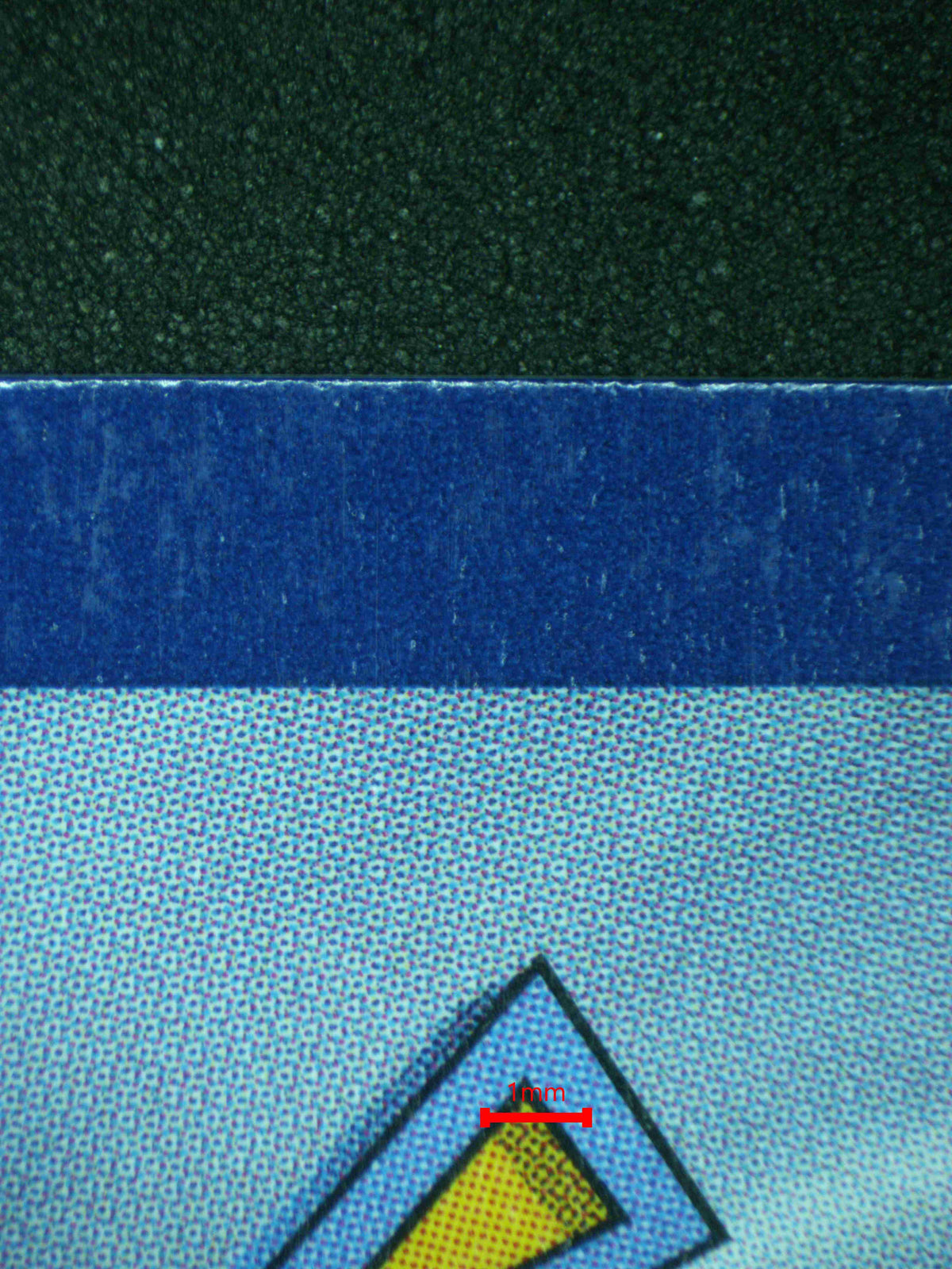 12445 MEGA FERALIGATR Ҽx