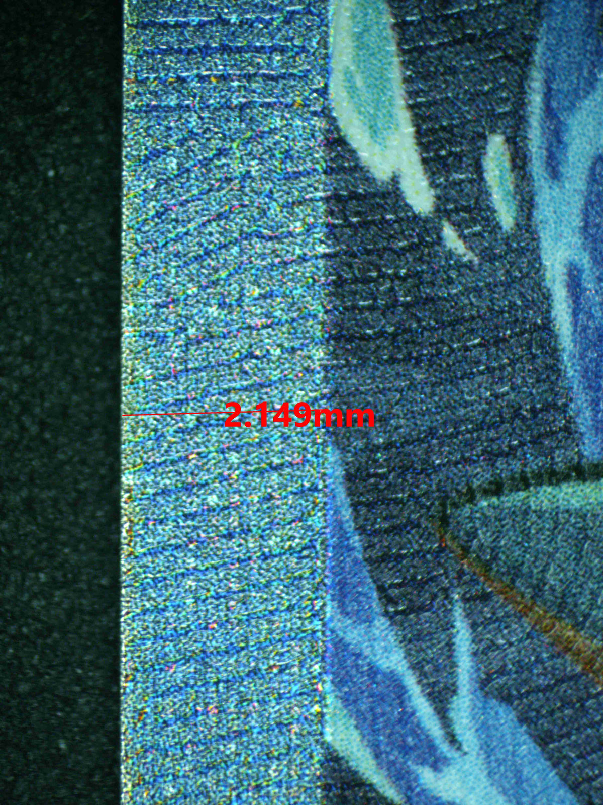 12445 MEGA FERALIGATR Ҽx