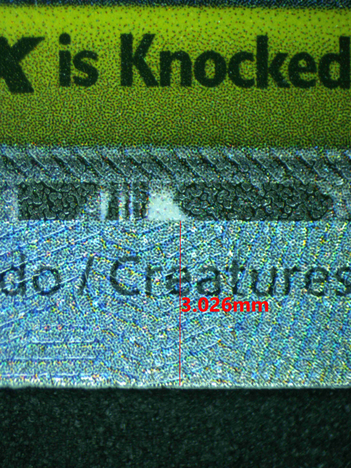 12448 MEGA DARKRAI Ҽx