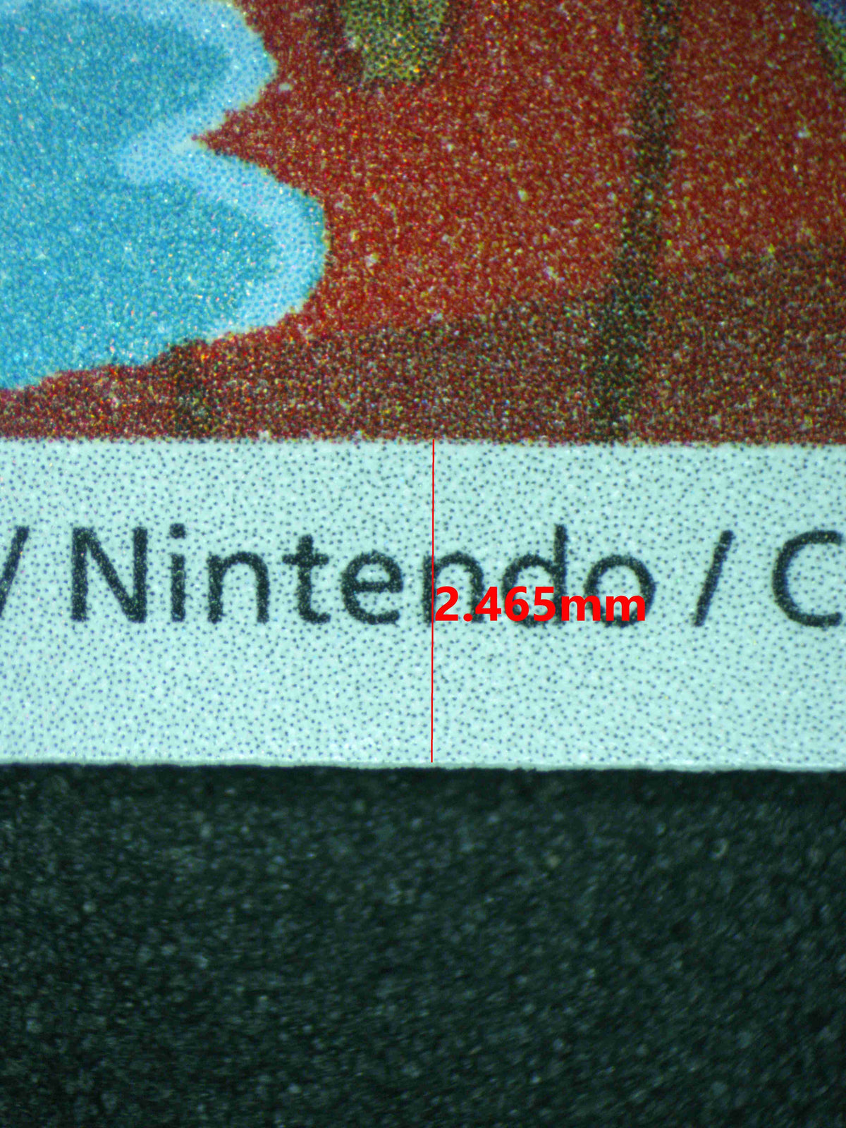 12456 LUDICOLO