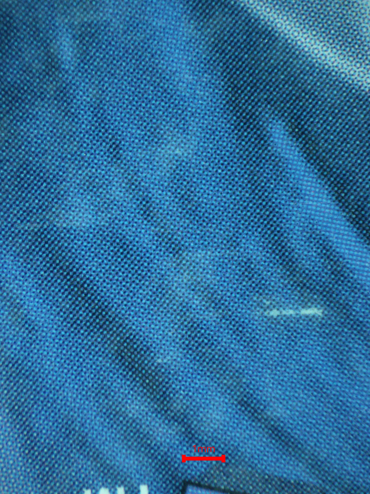 12471 PALKIA 𝔾 LV.X