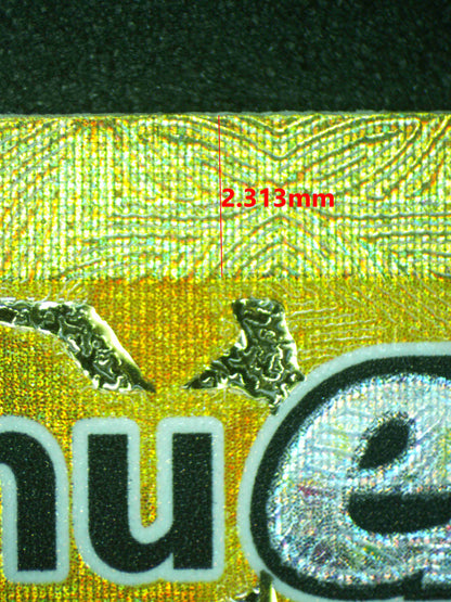 12493 PIKACHU Ҽx