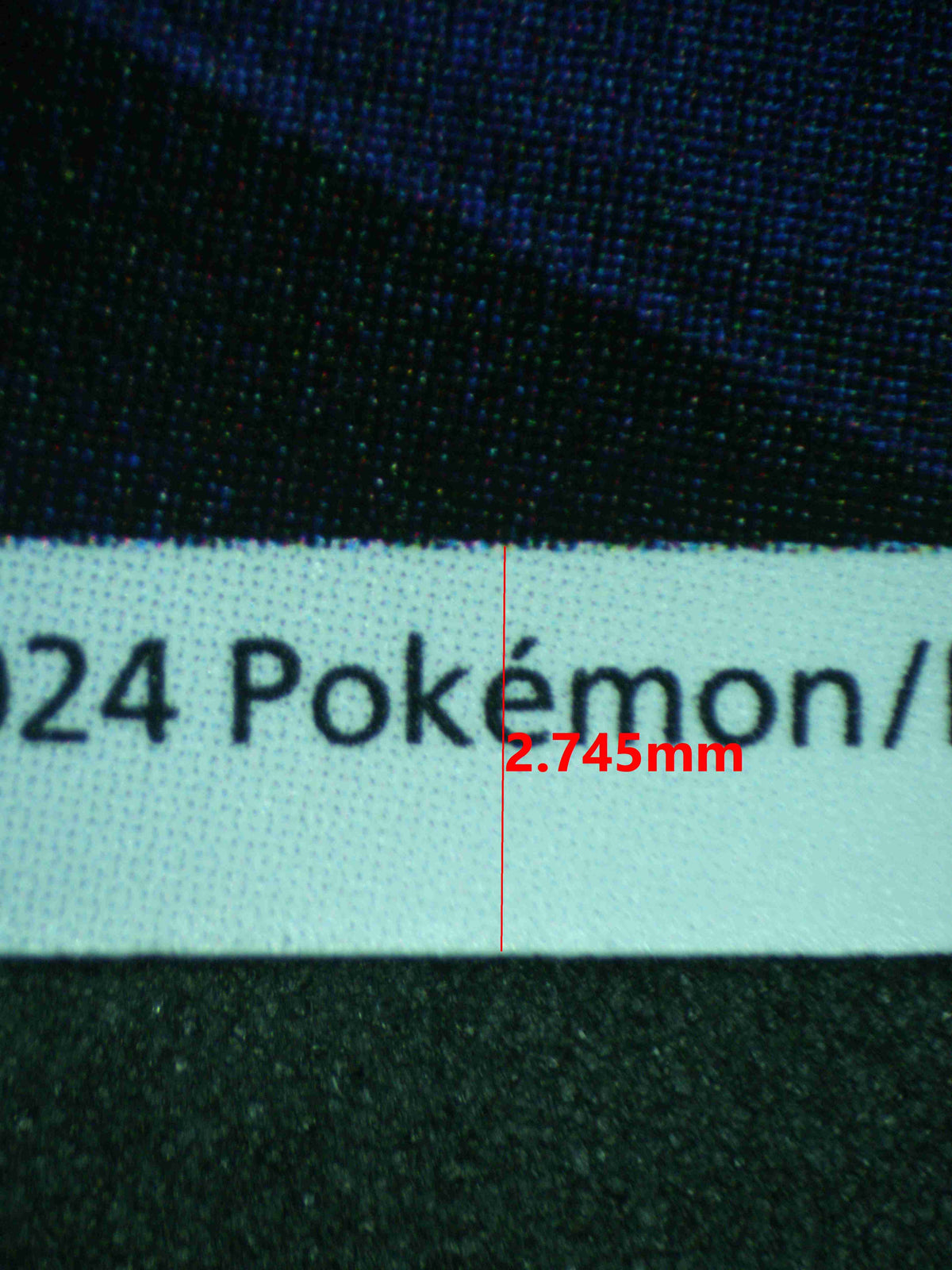 12576 CHARIZARD (CHN)