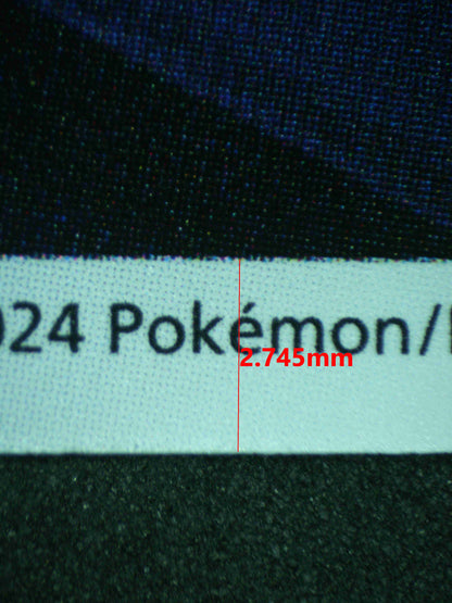 12576 CHARIZARD (CHN)