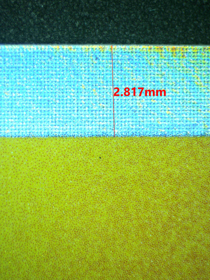 12711 RAICHU
