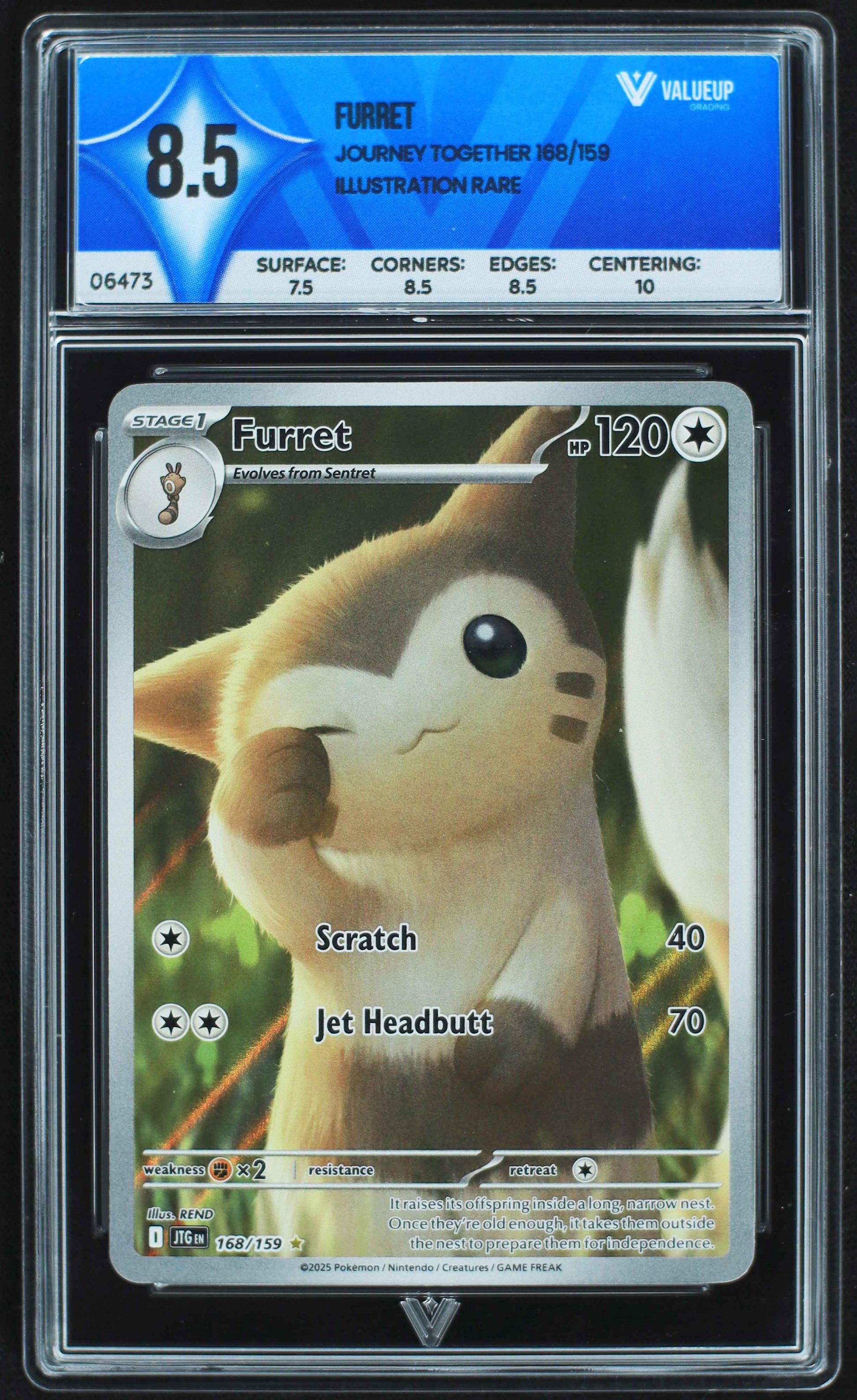 06473 FURRET Grading Card