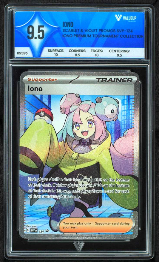 09593 IONO